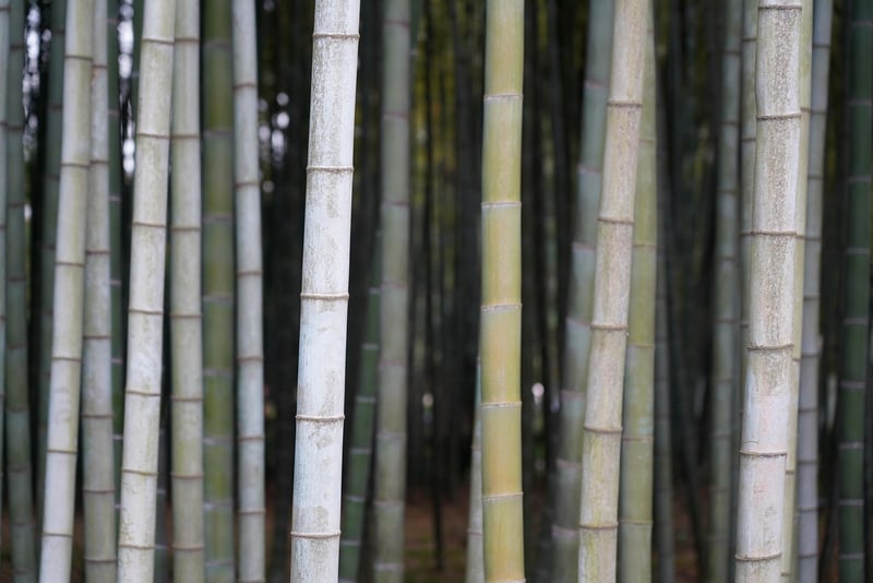 bamboo utensil set