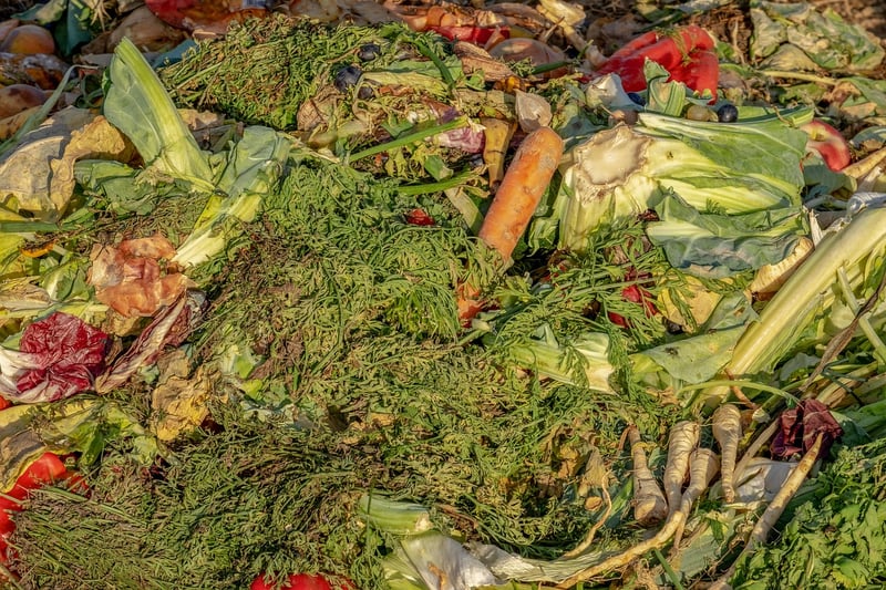 compost bin